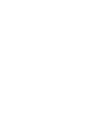 Aslan Logo